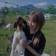 ตารีบันชอบ