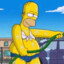 Homo Simpson