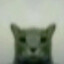 xREX_Fx
