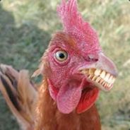 Chicken*
