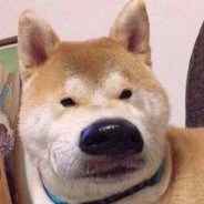 一个小仙女怎么守住B