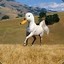 Duckhorse