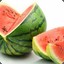 Watermeloon555