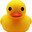 Duck on Quack