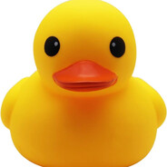 Duck on Quack