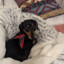 spike_1799