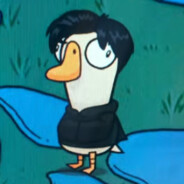 衣服包包给你换新的