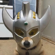 Big Avatar