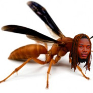 Fetty Wasp