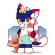 叱咤月海毛毛龙