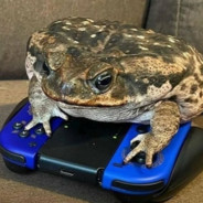 toadmode