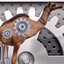 Settings camel