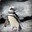 Pinguim