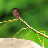 Kayu