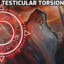 Testicle Torsion