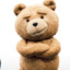 Sweet tedy bear