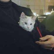 就TM你叫夏洛啊