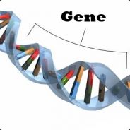Gene - steam id 76561197961814961