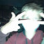 Lord_TwT
