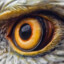 [GA] EagleEye