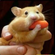 {TFL}Silverbeard - steam id 76561197971117549