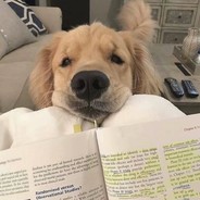 泰兴舔狗之分狗杨杰