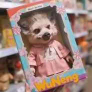 朔州缅北之安太堡热电