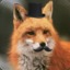 aProperFox