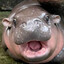 gusfring