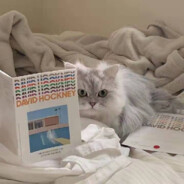 ChaoH训练赛.HC❤HHL