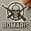 RoMariS (◣_◢)凸