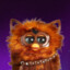 Furbacca