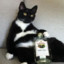 Cat&#039;s Liquor