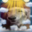 Dead Dog Daisy