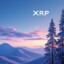 XRP ENJOYER