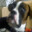 Big Jim avatar