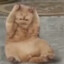 Кот Voidmxt