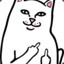 RIPNDIP