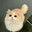 ○( ＾皿＾)っ Hehehe…