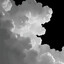 [4b0082]sick19
