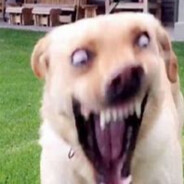 a去码头整点薯条