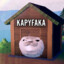 Kapyfaka
