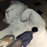 厨房里怎么有只老鼠