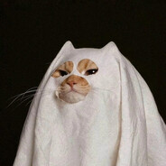 Кимура Грейси