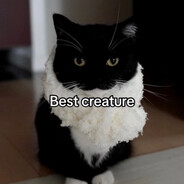 Fuzzy friend's avatar