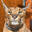 oKlaComa Steam avatar