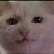 都趴下,老子要放大招了