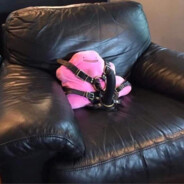 Dilditto