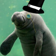 Mr.Mister Manatee