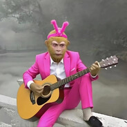 那天为你奏曲的猴